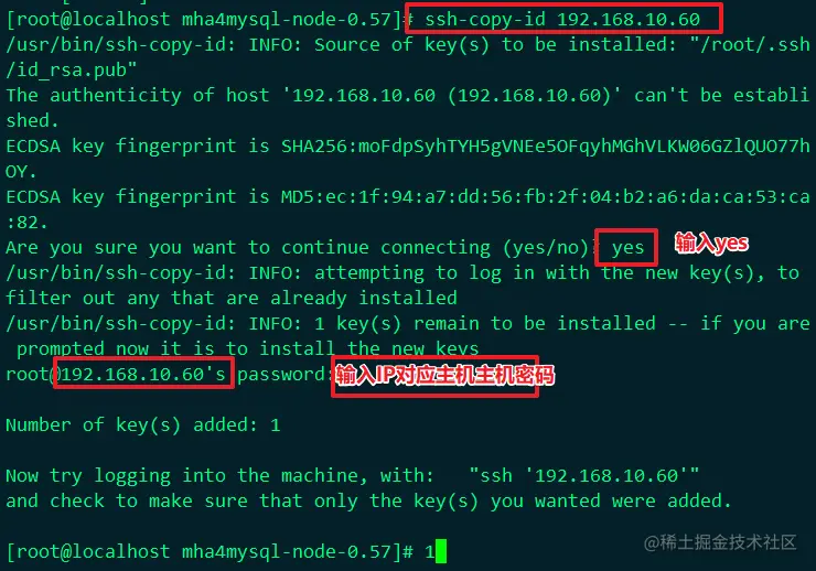 image-20220604214508463