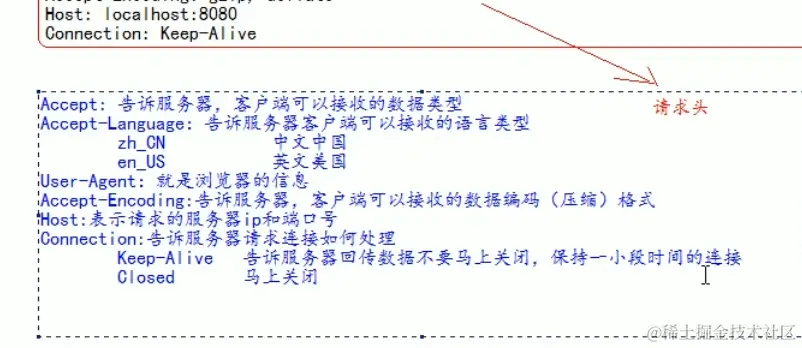 image-20211020200106432