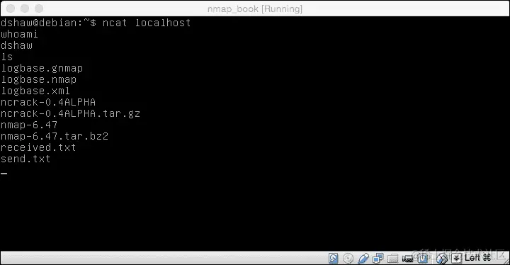 使用 Ncat 进行文件传输和后门操作