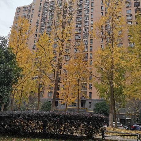旺旺99于2022-11-28 10:47发布的图片