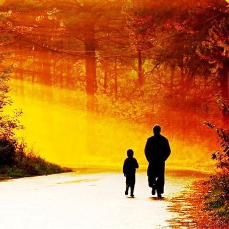 花丛中的小蜜蜂于2023-08-08 09:46发布的图片