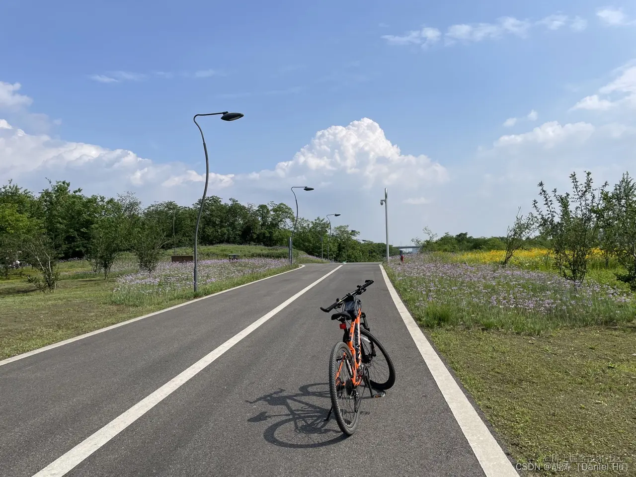 青龙湖湿地公园骑行