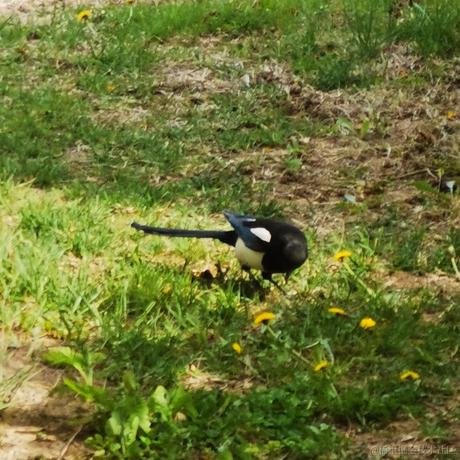 刘笑祎于2023-05-05 21:33发布的图片