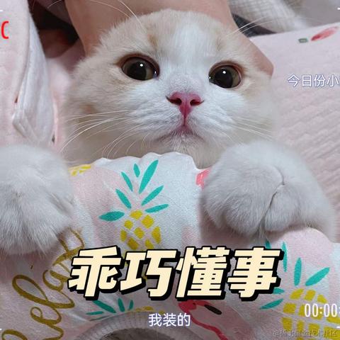 云汐于2022-04-20 10:53发布的图片