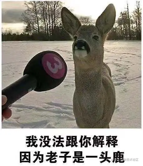 image-20201217133211889