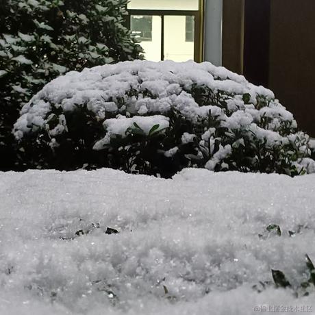 鱼丸粗面不加盐于2022-11-30 10:19发布的图片