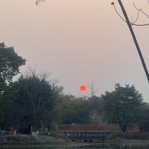 安酱于2023-04-26 12:28发布的图片