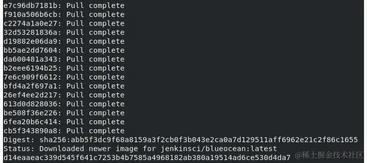 图 8.2：docker run 命令的输出