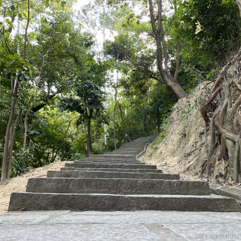 神奇的程序员于2021-11-27 14:14发布的图片