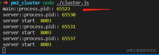 cluster 运行 pid