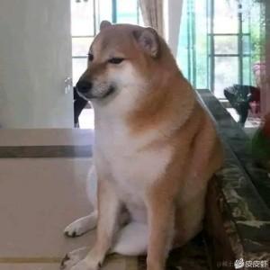 span于2021-06-30 10:58发布的图片