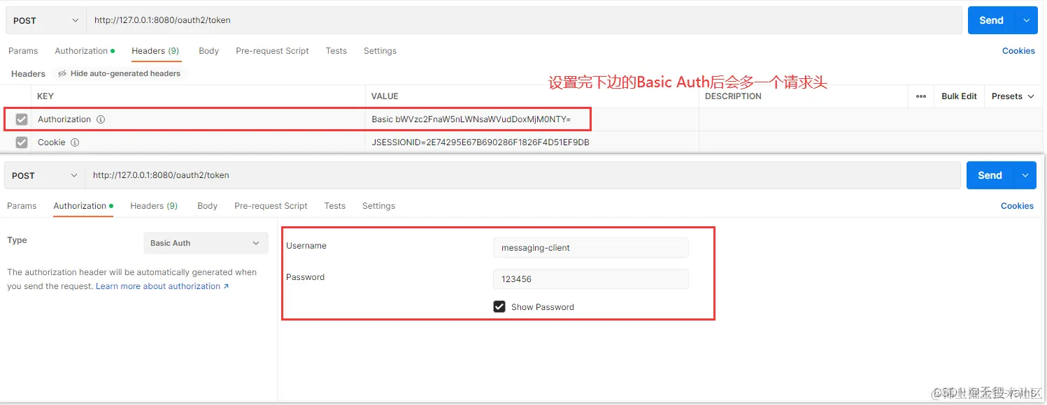 设置Basic Auth图片示例