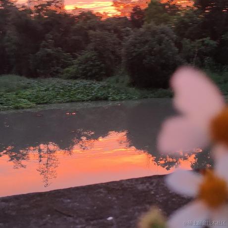 风信子离开向晚于2022-11-27 16:54发布的图片