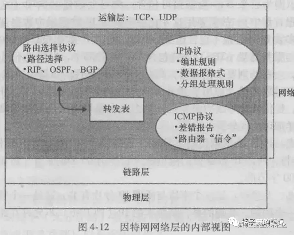11.webp