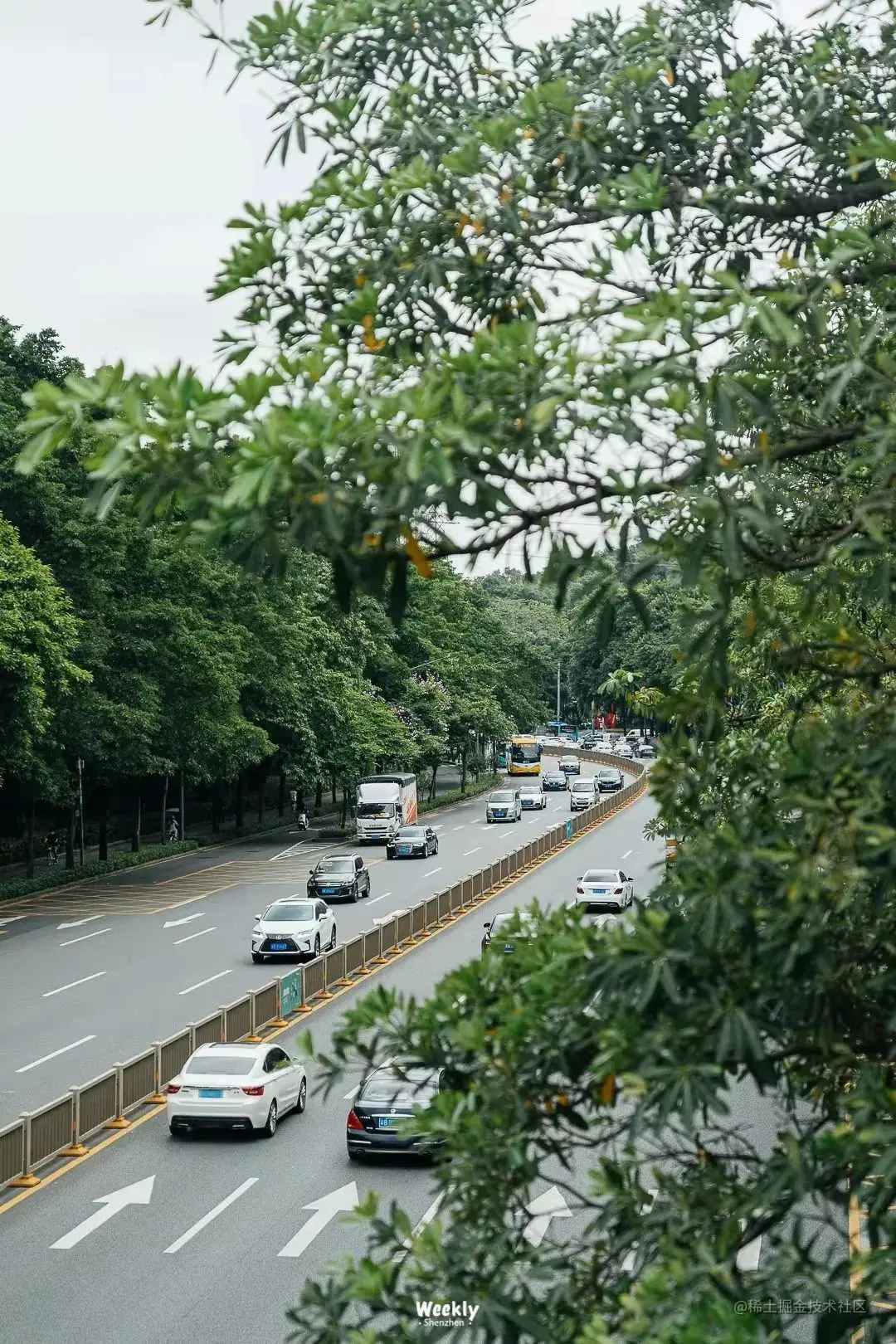 大厂员工涌入外包：中年失业，外包已是我最好的选择