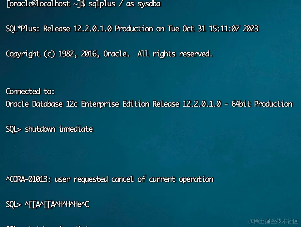 image-20231031160246088