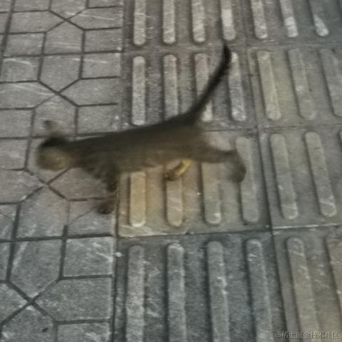 洗衣机35于2022-11-14 23:52发布的图片