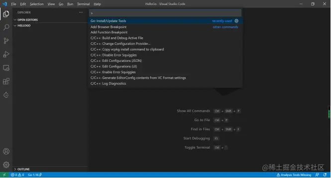 手把手教你vscode配置golang开发环境的步骤_手把手教你vscode配置golang_08