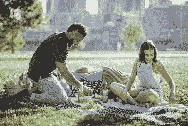 一对正在野餐的夫妇的图片