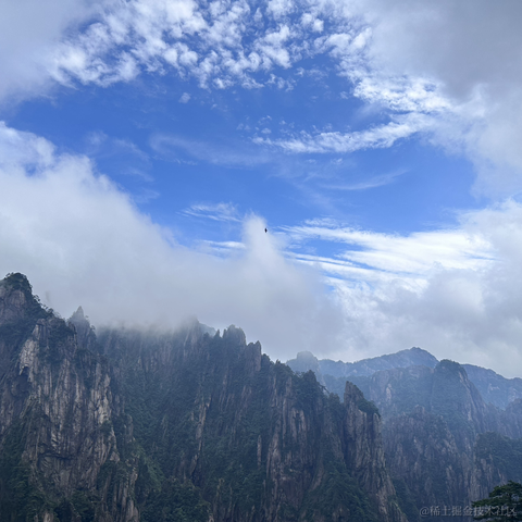 new_s于2023-07-10 07:48发布的图片