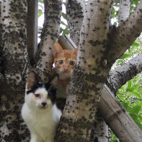 叮咚咚咚于2022-10-18 23:03发布的图片