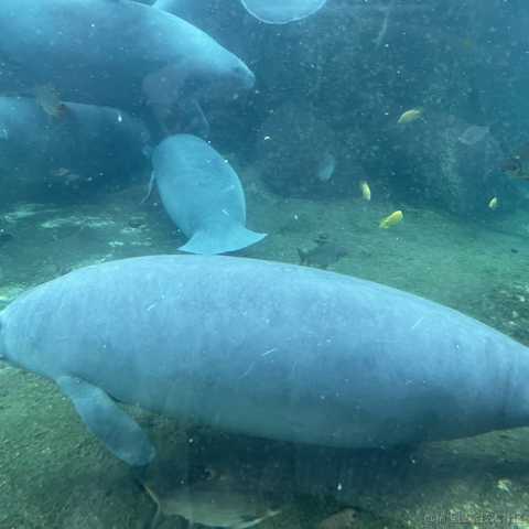 我是个靓崽于2023-04-22 23:43发布的图片