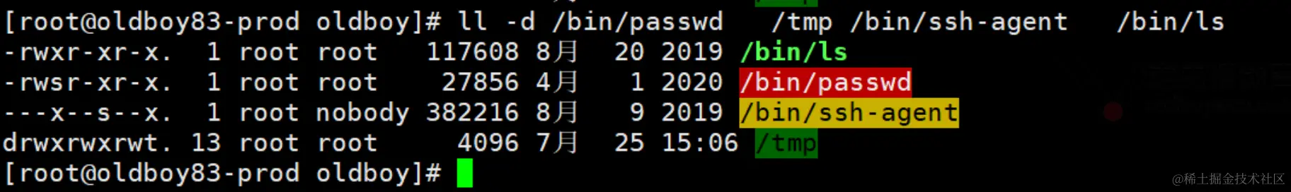 image-20240128234146804