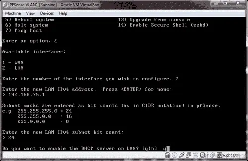 配置 pfSense DHCP 服务器