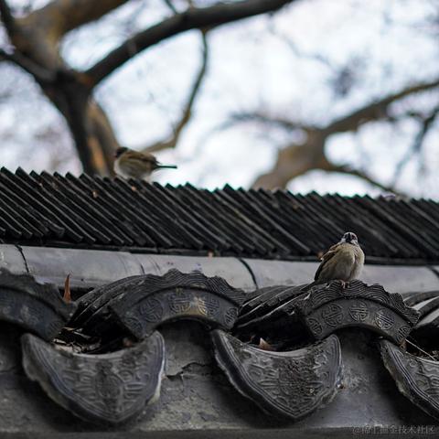 _V于2021-01-20 11:01发布的图片