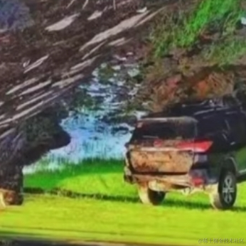 RJ于2021-05-15 12:28发布的图片