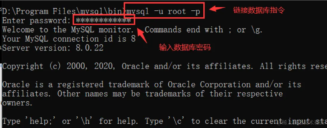 image-20220619171227202