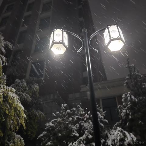 天空之城53于2023-04-22 10:32发布的图片