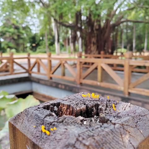 Uwiling于2022-12-02 22:23发布的图片