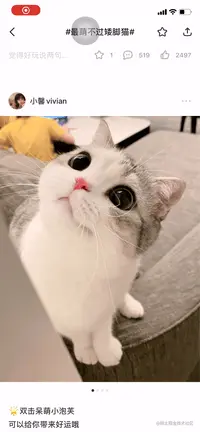 新版分享流程