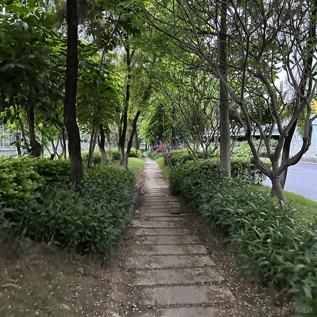 德育处主任于2023-05-10 18:47发布的图片