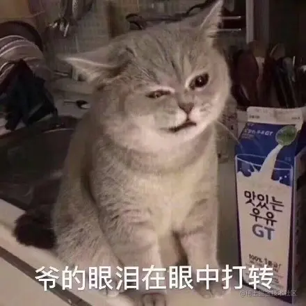 拯救IT人的报表神器来了！不用写复杂代码，小白也能轻松上手