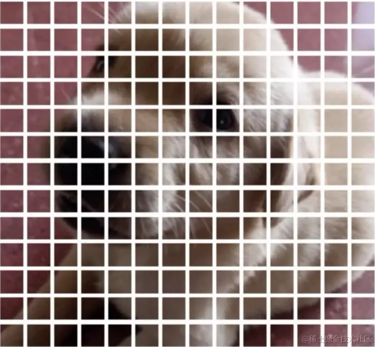 image-20240225122523650