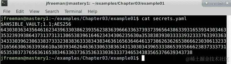 图 3.4 - 显示我们的新 Ansible Vault 实例的内容，这些内容在静止状态下是加密的