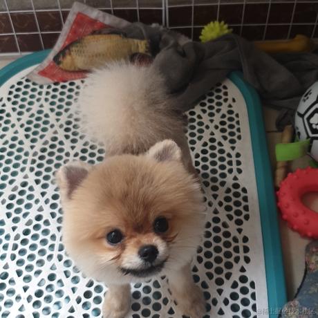 MisterBlank于2022-06-21 05:06发布的图片