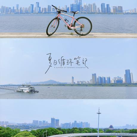 抹茶san于2023-06-04 14:26发布的图片