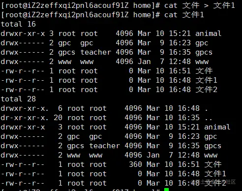 image-20220310165356599