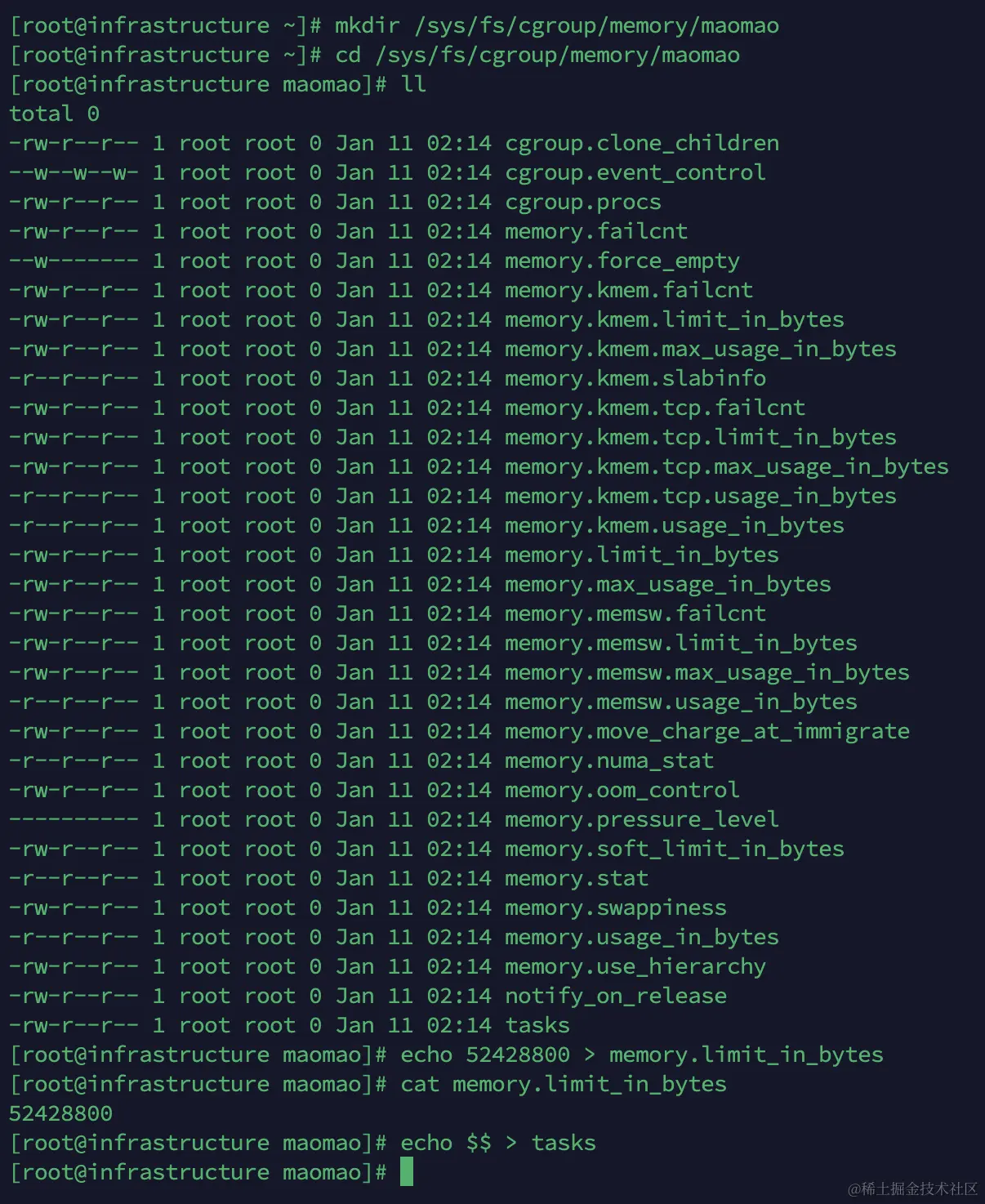 image-20240111021719194