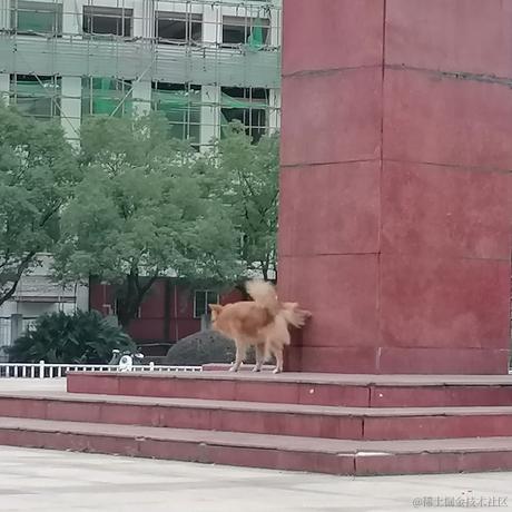 Queeeee于2022-12-02 17:27发布的图片