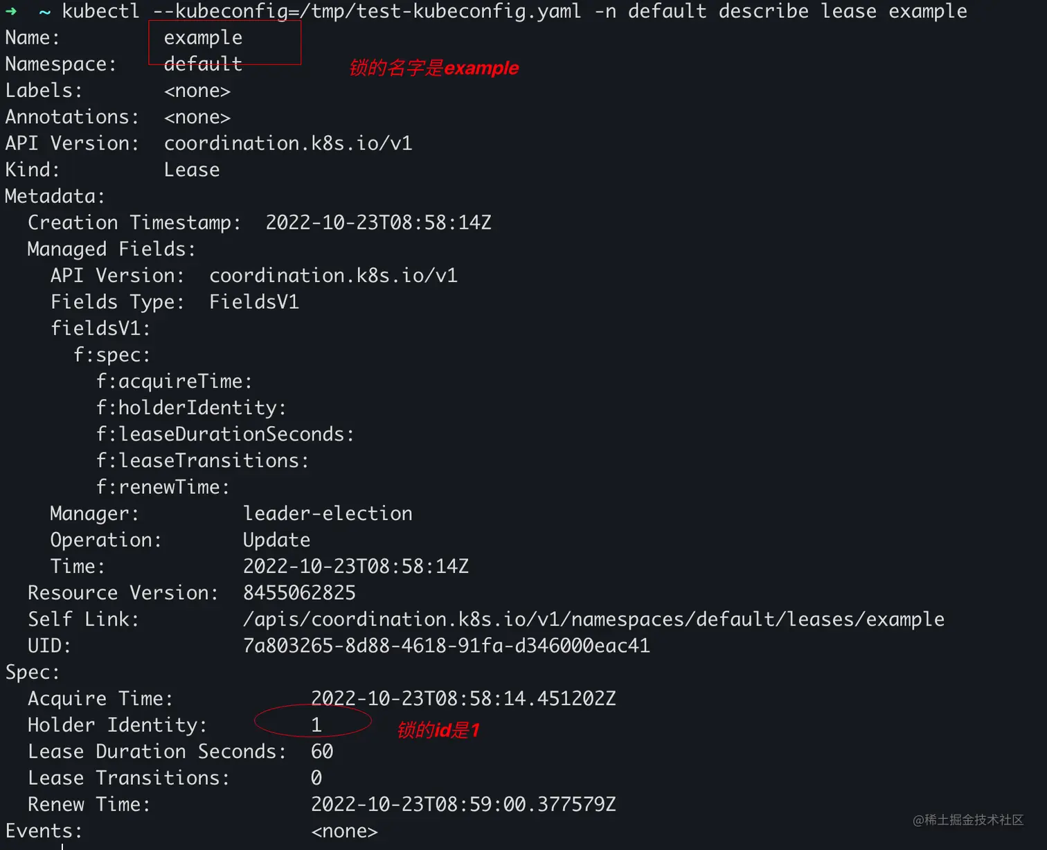 image-20221023170315587