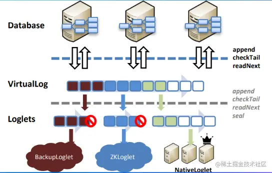 image-20220813130616419