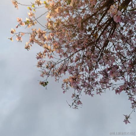 接受再见于2023-04-10 20:08发布的图片