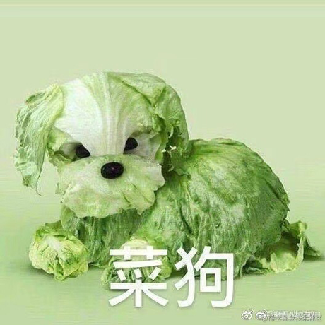 前端精髓于2021-04-08 12:23发布的图片