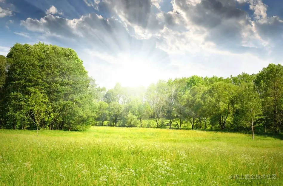 image-20230320144535381