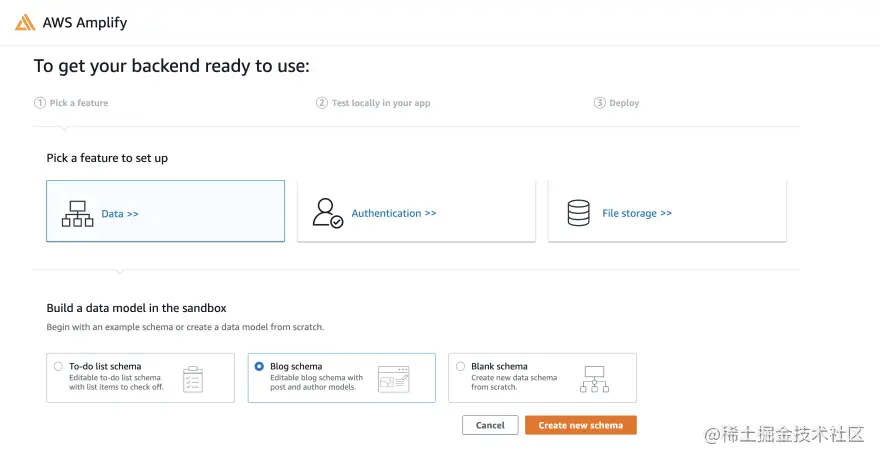 data selected with blog schema