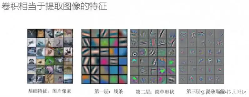 image-20231211163219513